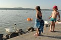 DSC00530 00